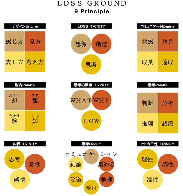 LDSS GROUND 9 Principle