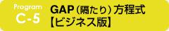 c-5 GAP（隔たり）方程式 【ビジネス版】